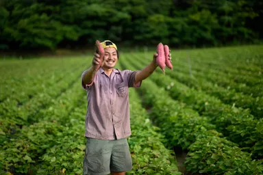 山野農園の砂丘イモ