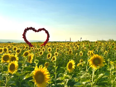 バラのハートオブジェ