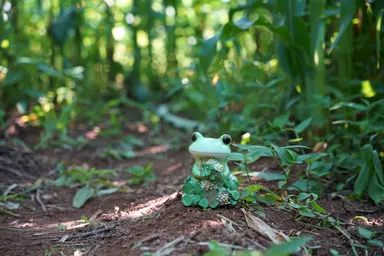 コースに隠れるカエルを探せ