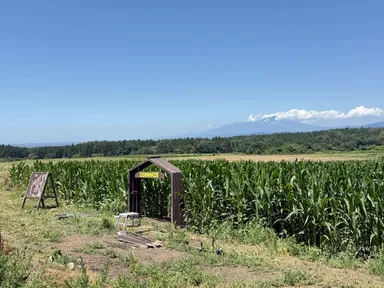 鳥海山がバックに見える迷路の入り口
