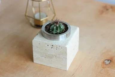 サボテンを植えた俯瞰写真