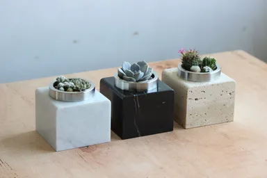 サボテンハウス(R)マーブル3種類の俯瞰写真