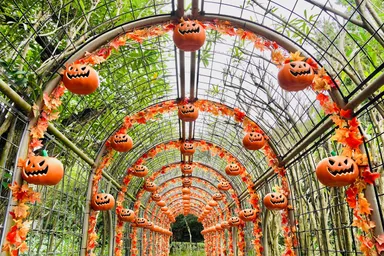 ハロウィーン装飾