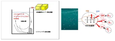 画像5　W-Gaia設置と処理説明