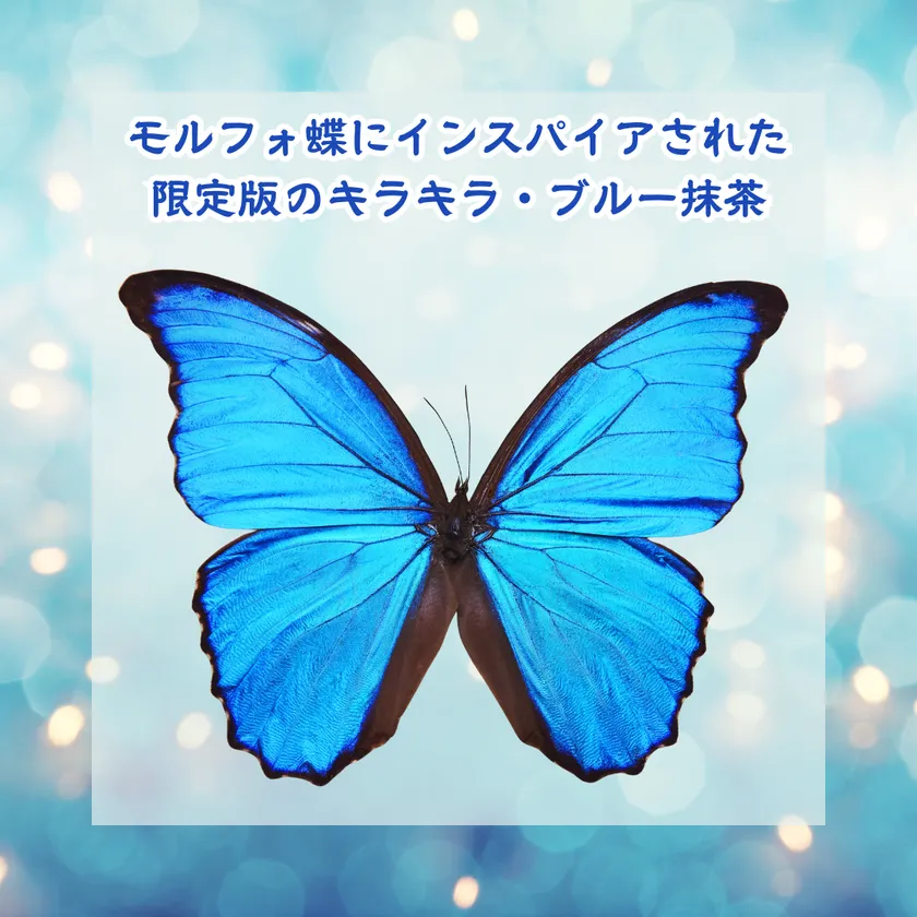 <モルフォ蝶の神秘的なイメージの抹茶>