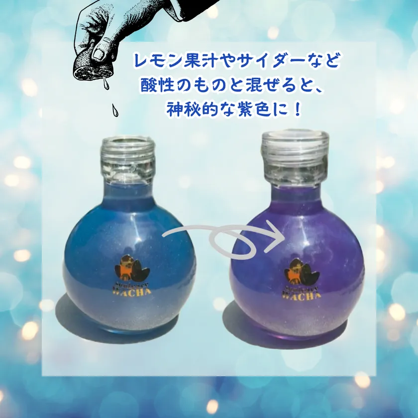 <ブルーからパープルへの大胆な色変化>