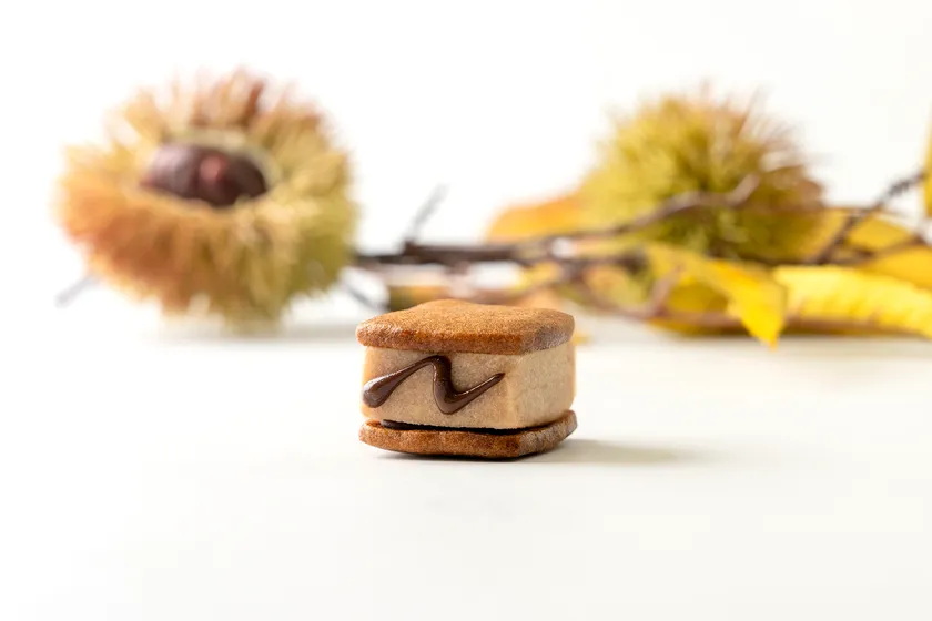 和栗モンブランショコラ