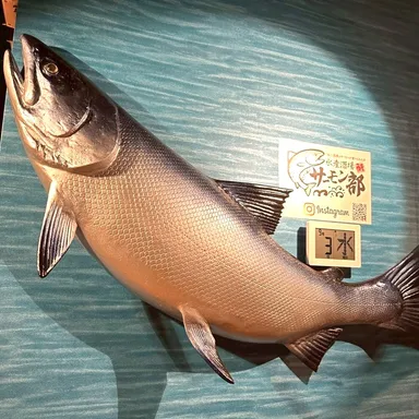 店内に飾ってある青森サーモンのオブジェ