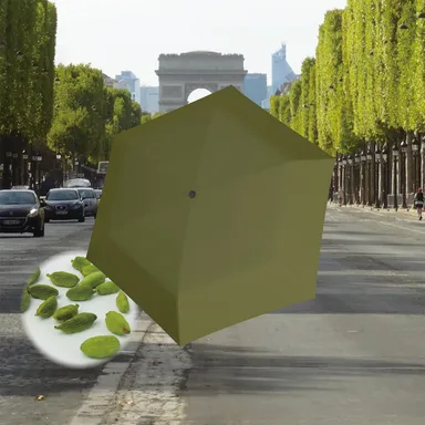 U.220/US.050 Cardamom