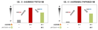 (図.3) 炎症調節因子TET2の量／(図.4) 炎症関連遺伝子NFKBIZの量