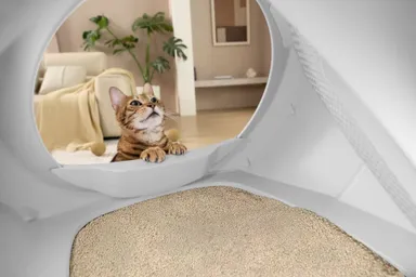 二重消臭システム付き