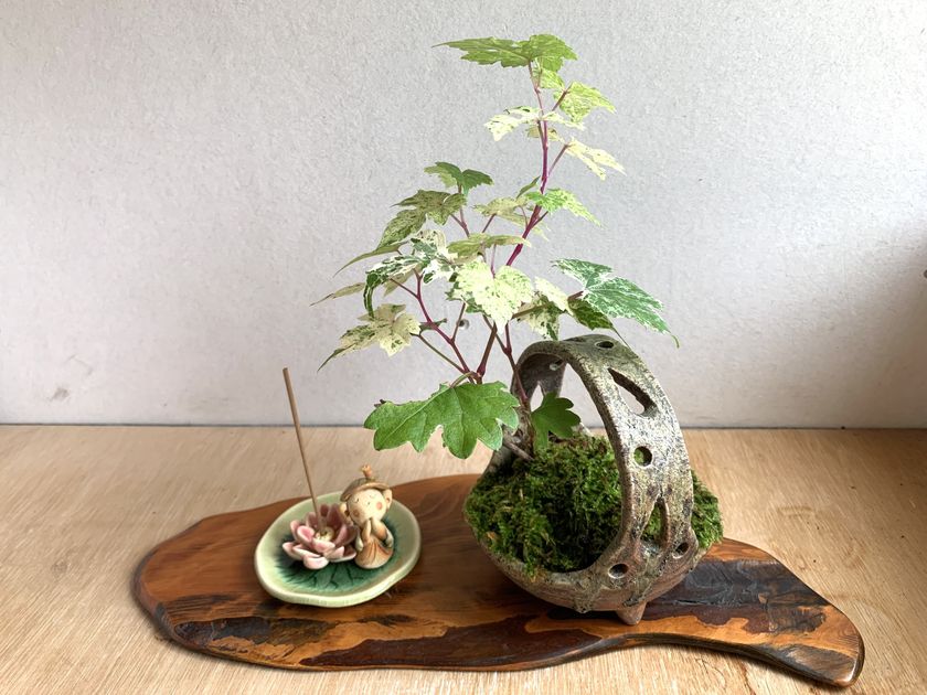 画像12