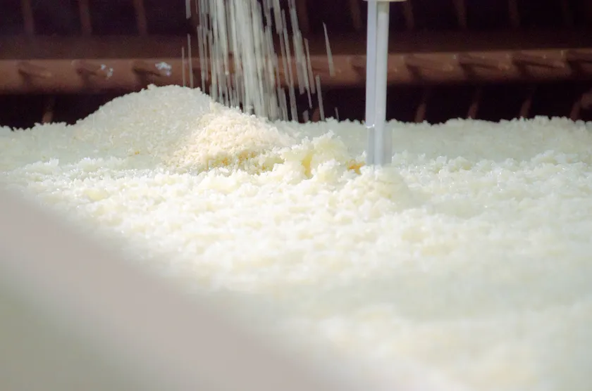 蒸したもち米、米麹を焼酎でゆっくりと熟成させる三河地方のみりん