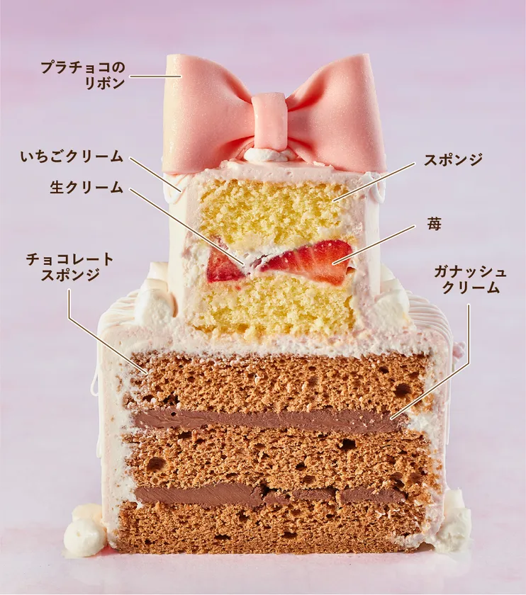 マリアージュ ディアプリンセス(断面)