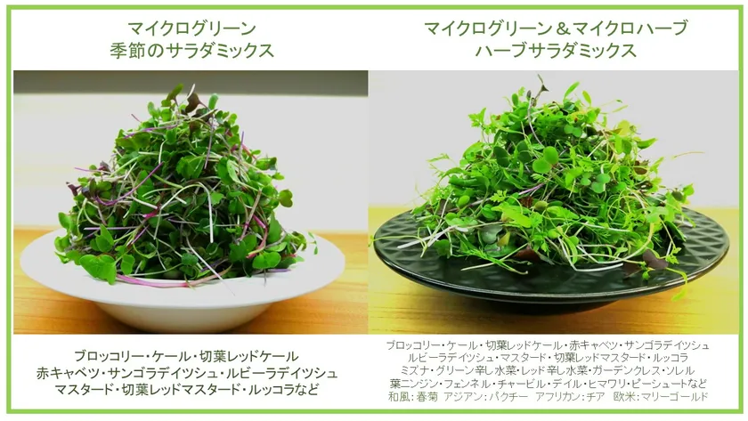 サラダミックス