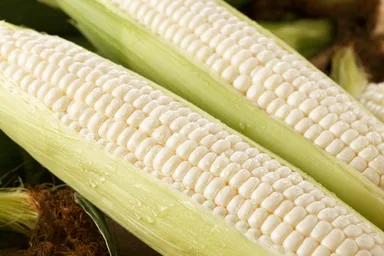 ホワイトショコラ