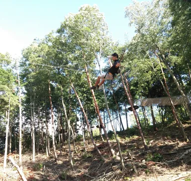 樹間を飛び回る