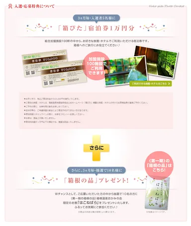 入選・当選要項