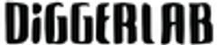 Diggelrab Incのロゴ