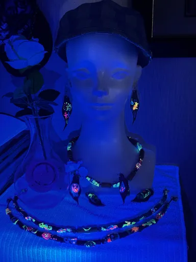 夜間ブラックライト照射画像