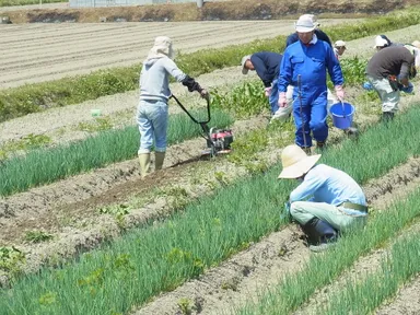 第2期農場実習(1)