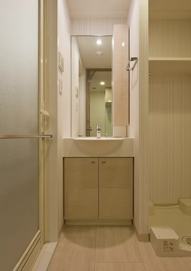 A1タイプ 洗面室