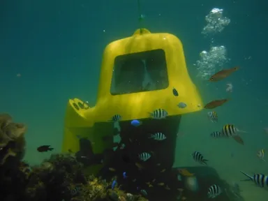 それは、まるで海中水族館！！