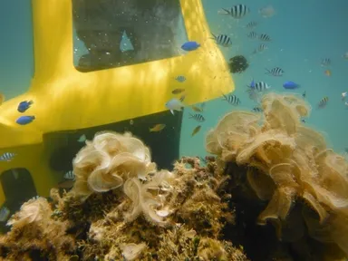 お魚達がこんなに近い！！