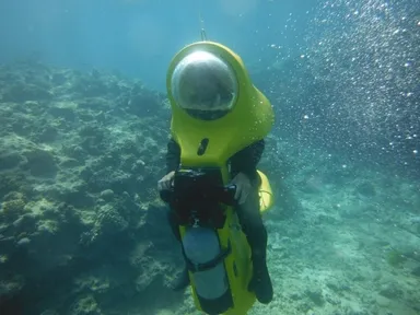 楽しい海中ドライブ