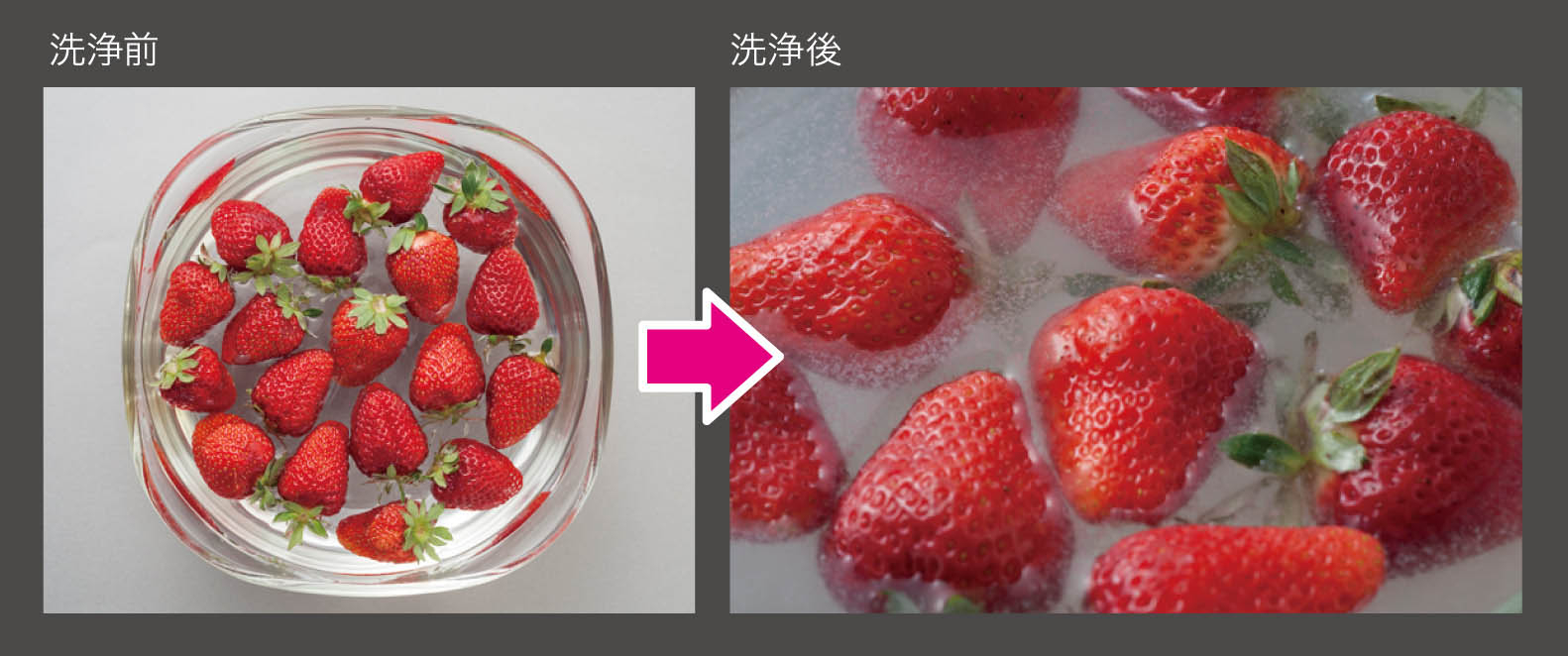 天然素材100 の野菜や果物の除菌 洗浄剤 ホタテのおくりもの を新発売 健康ラボ株式会社のプレスリリース