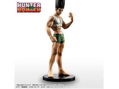 HUNTER×HUNTER ゴン(身体)