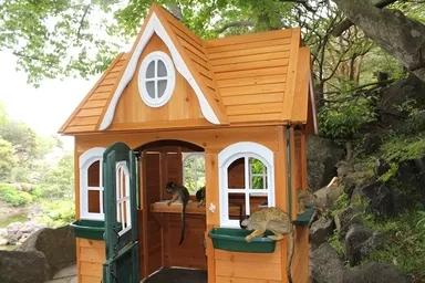 リスザルのツリーハウス