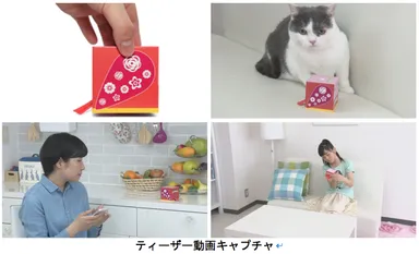 動画キャプチャ