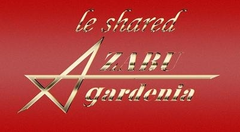 ホテル暮らしをシェアハウスで！「麻布ガーデニア」　
レジャールームをオープン予定！特別キャンペーンも実施