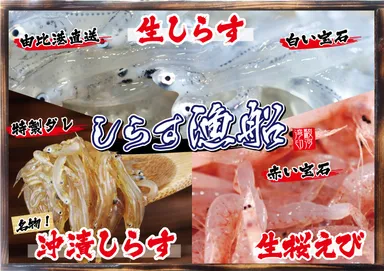 沼津しらす漁船メニュー表