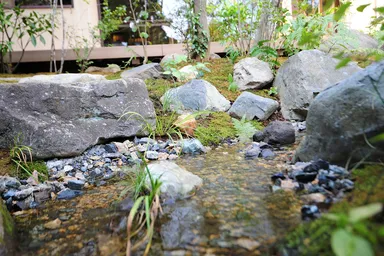 庭園のせせらぎ