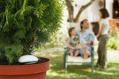 Plant Sensor 2 Outdoor イメージ