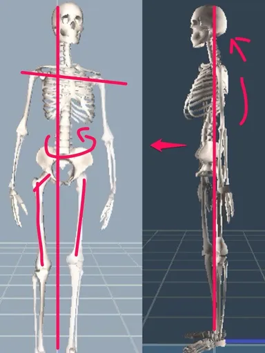 3D姿勢分析結果
