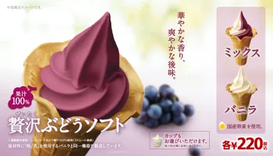 贅沢ぶどうソフト_イメージ