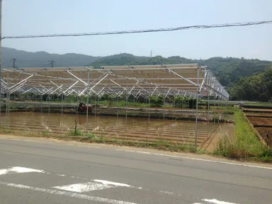 田んぼの上に設置された回転式ソーラーパネル