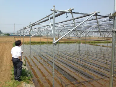 現場を視察する農業委員