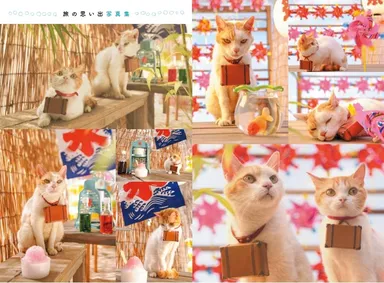 旅の思い出写真集