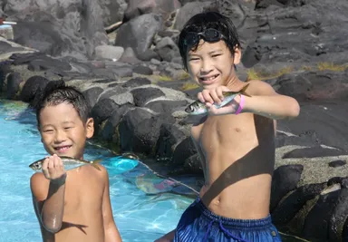 ちびっこ魚のつかみどり3