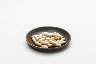 竹乃力ディスプレイカット