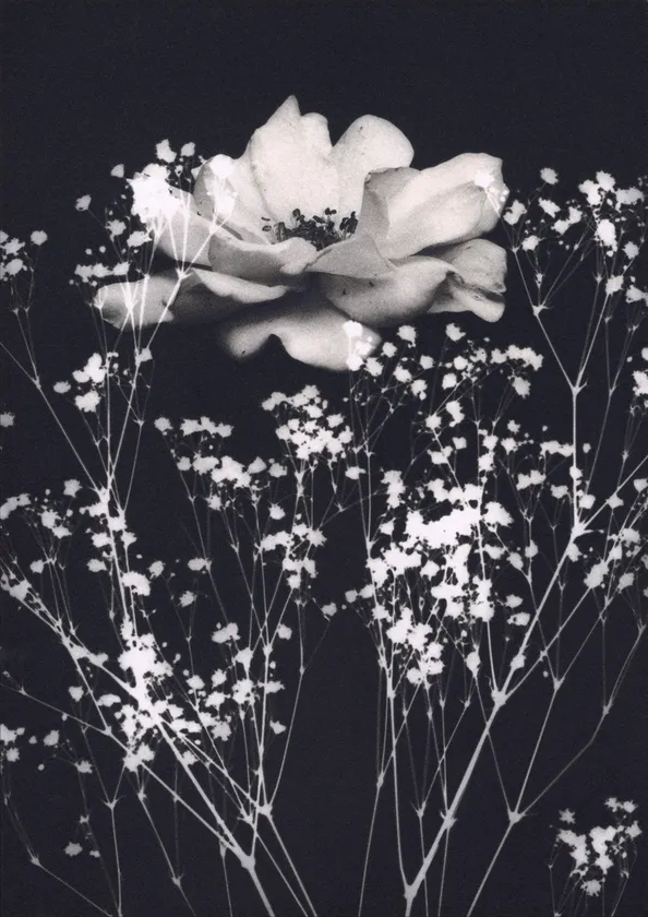 参考作品「FLOWER」写真学科4年 高橋 桃夏