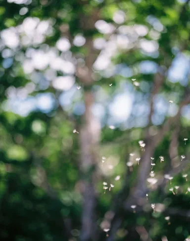 参考作品「FLOWER」写真学科4年 JIA NAN