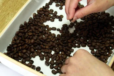 ハンドピックによる高品質