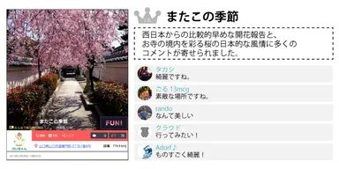 最も共感を得た体験TOP2