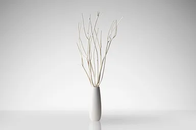 アロマブランチS