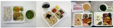DNAバランスアップ弁当